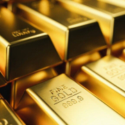 Here's The Share of Gold or Crypto Ray Dalio Says Investors Should Hold