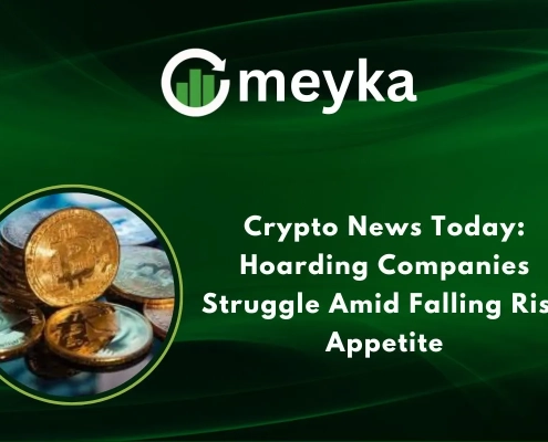 Crypto News Today: Hoarding Companies Struggle Amid Falling Risk Appetite
