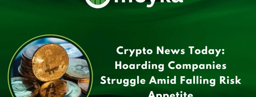 Crypto News Today: Hoarding Companies Struggle Amid Falling Risk Appetite