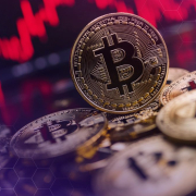 No “Big Crash” in Sight for Bitcoin, Says Macro Analyst Lyn Alden
